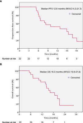 Use of Nab-Paclitaxel Plus Gemcitabine Followed by Hypofractionated Tomotherapy With Simultaneous Integrated Boost in Patients With Locally Advanced Pancreatic Cancer